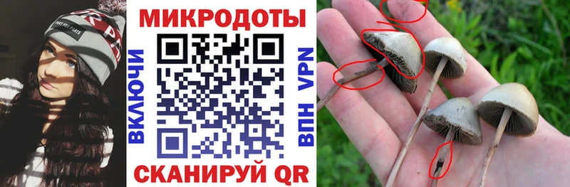 Купить где  Алагир  Галлюциногенные грибы GOLDEN TEACHER 